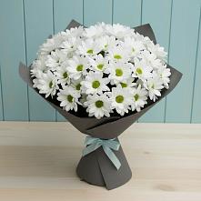 Букет цветов из:  Хризантемы в Отрадном Самарская область