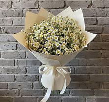 Букет цветов из:  Ромашки в Отрадном Самарская область