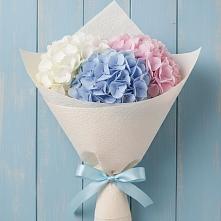 Букет цветов из:  Гортензия #REPLACE_PRED# Отрадном Самарская область