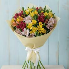 Букет цветов из:  Альстромерии #REPLACE_PRED# Отрадном Самарская область