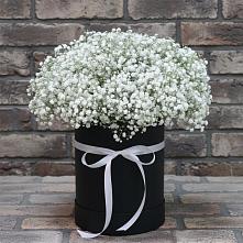 Цветочная композиция из Гипсофила в шляпной коробке в Отрадном Самарская область