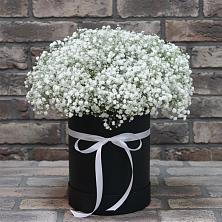 Цветочная композиция из Гипсофила в шляпной коробке в Отрадном Самарская область