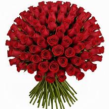 Букет Красные розы Чери Лав #REPLACE_PRED# Отрадном Самарская область